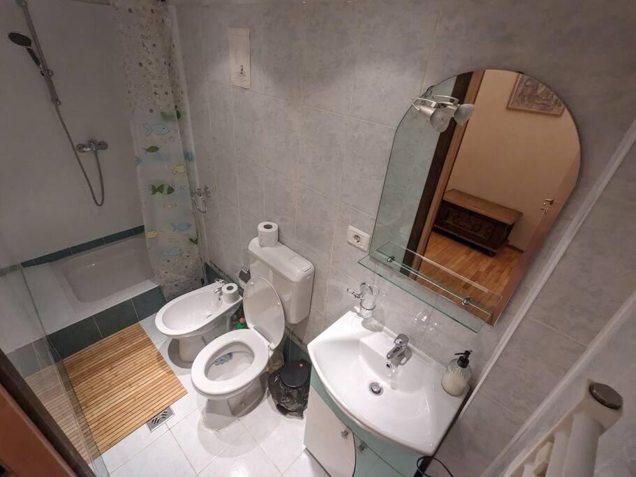 Boheme Central Apartment Timisoara Luaran gambar